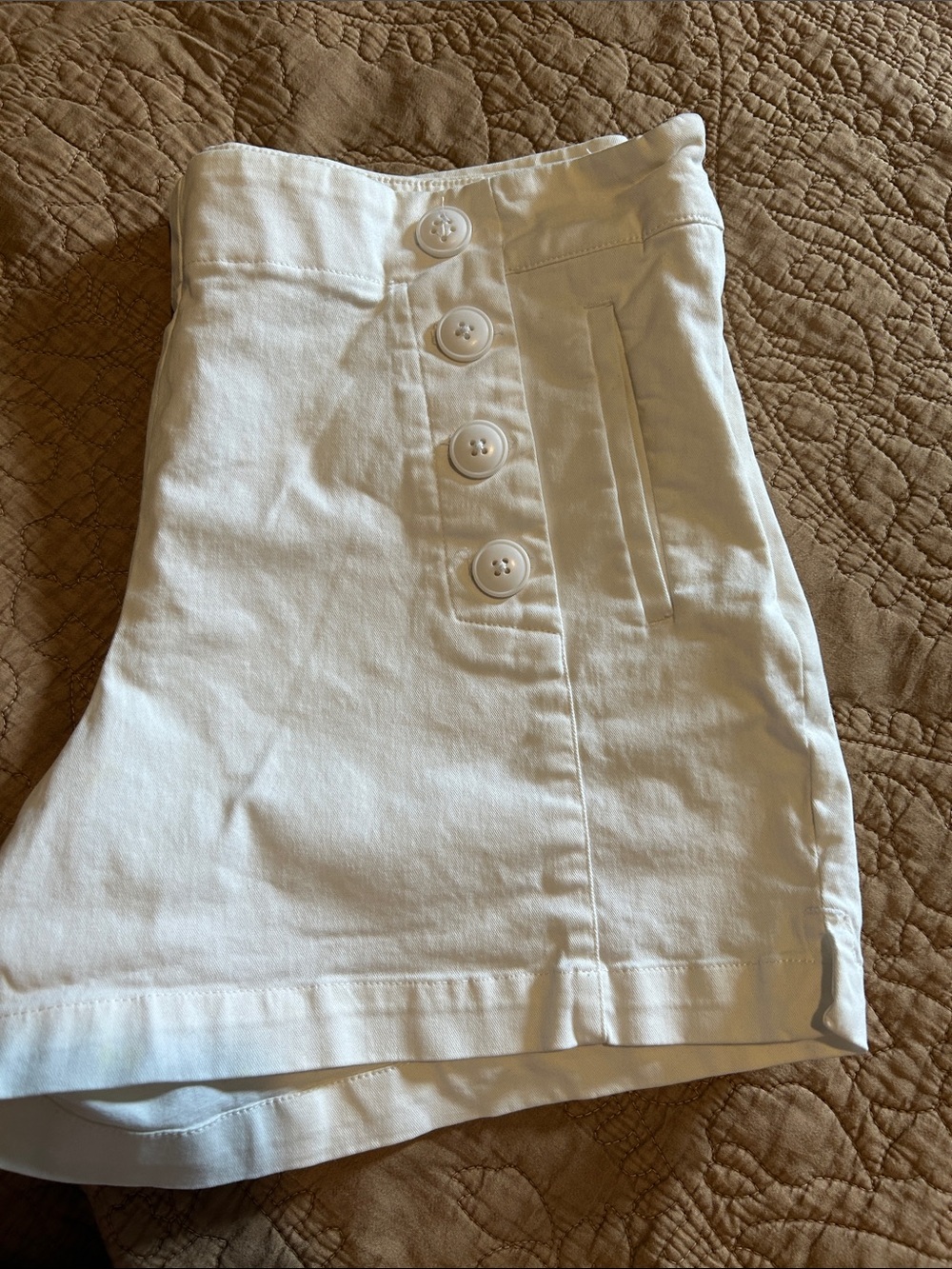 Loft Riviera Shorts
